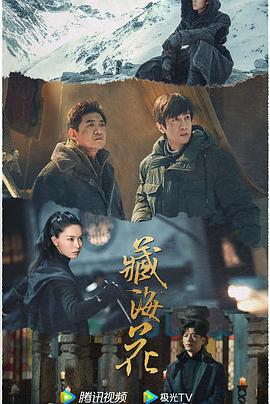 青青草在线看视频 - 极品御姐海报
