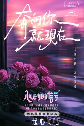 麻豆apo - 极品御姐海报